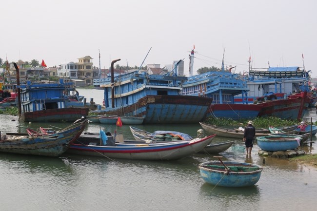 Quảng Ngãi: Khẩn trương hoàn thành lắp đặt thiết bị giám sát hành trình trước 30/7 năm nay (29/05/2022)